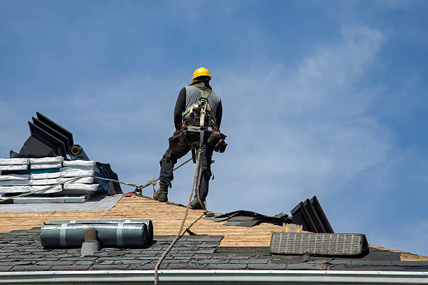Professional Roofing technician working in Lehr, ND